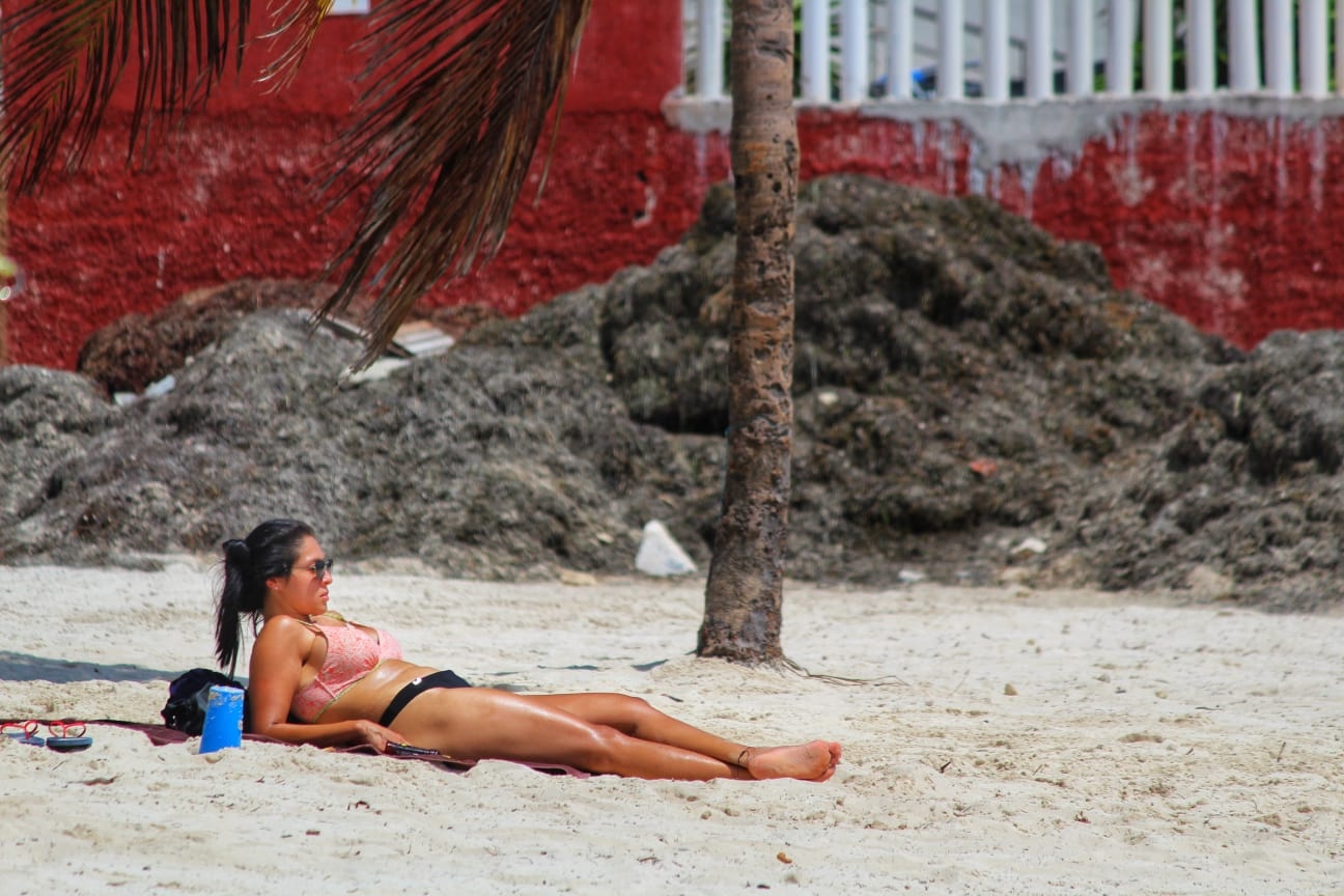 El municipio con gran afectación es Cozumel con 5 playas con recale de sargazo muy alto