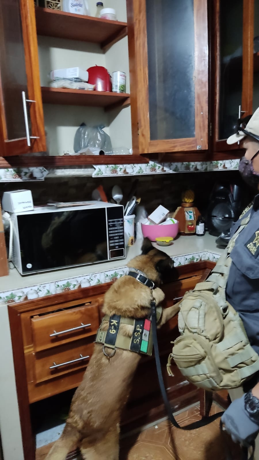 En el operativo participó una unidad K-9, quienes recorrieron cada esquina del lugar