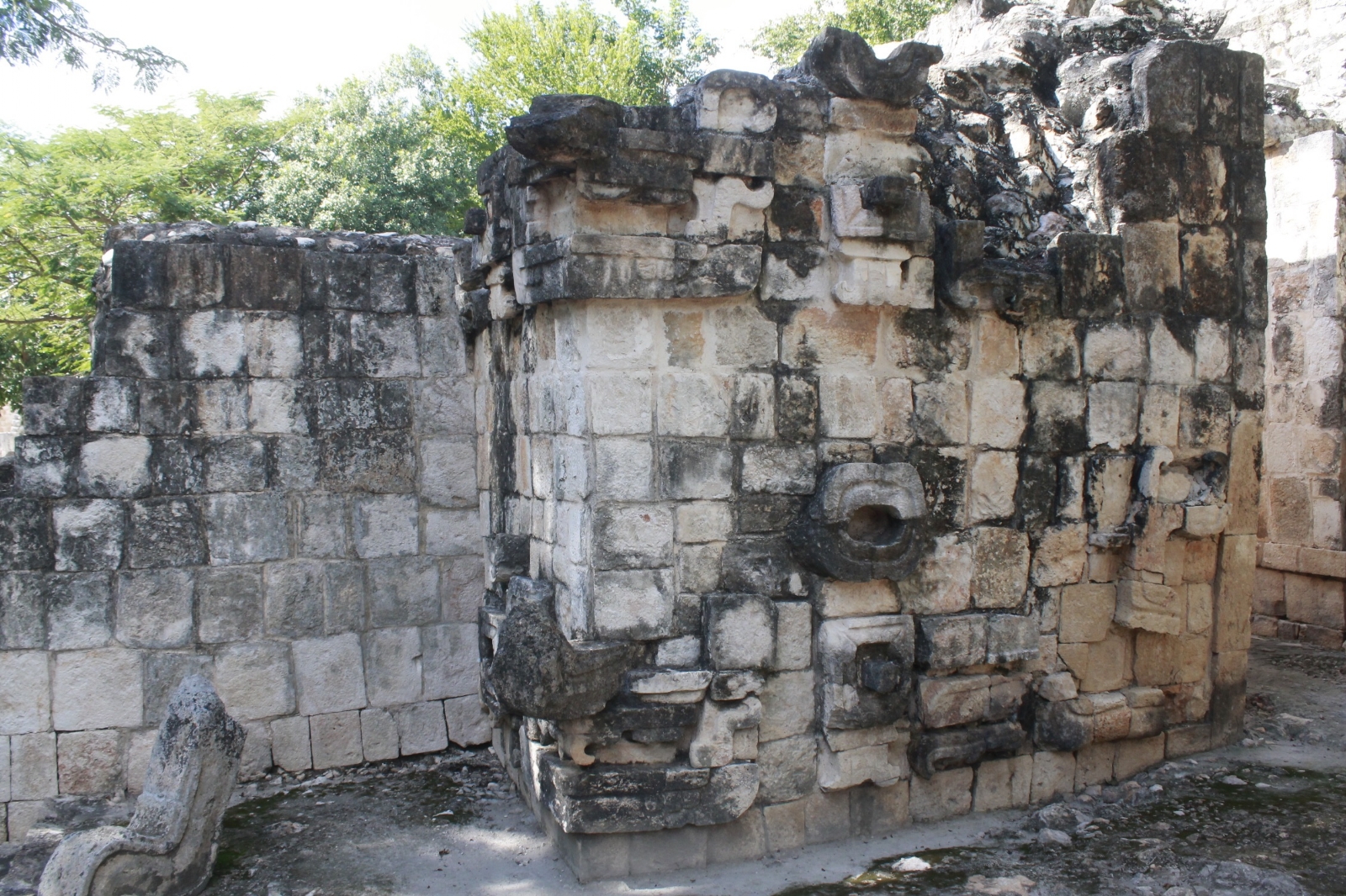 Hallan más de 17 mil vestigios arqueológicos en ruta del Tren Maya