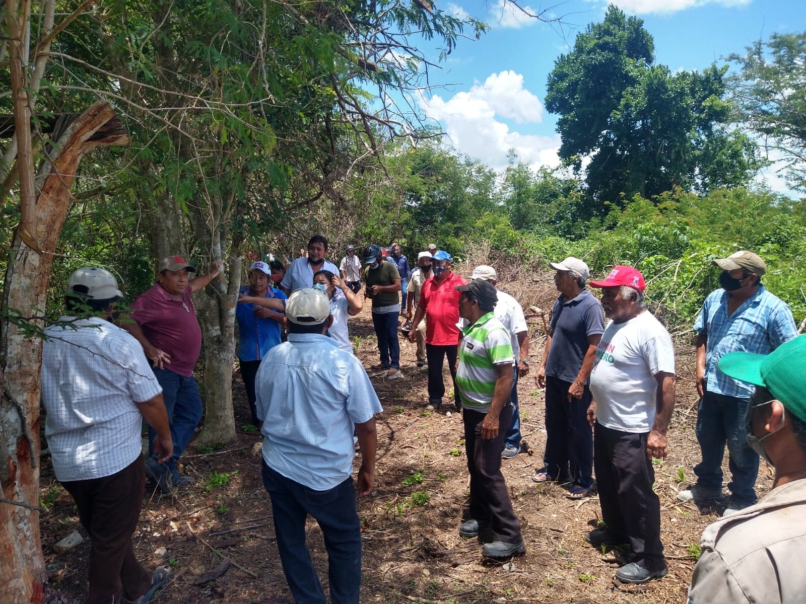 Ejidatarios de Tizimín mantienen pleito por tierras contra el Tecnológico de México