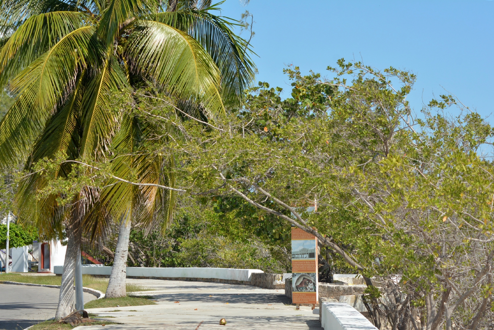 Pronóstico del tiempo Chetumal: Se esperan lluvias y ambiente fresco en Quintana Roo