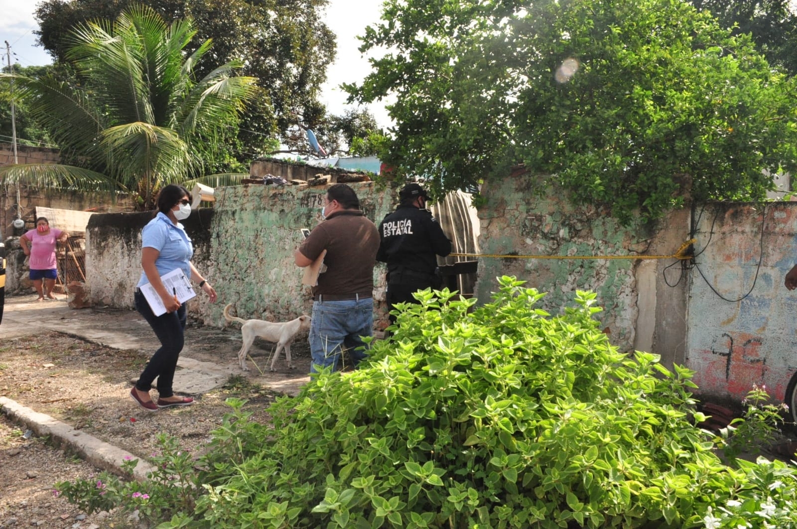 Hallan muerto en su hamaca a un hombre en Mérida