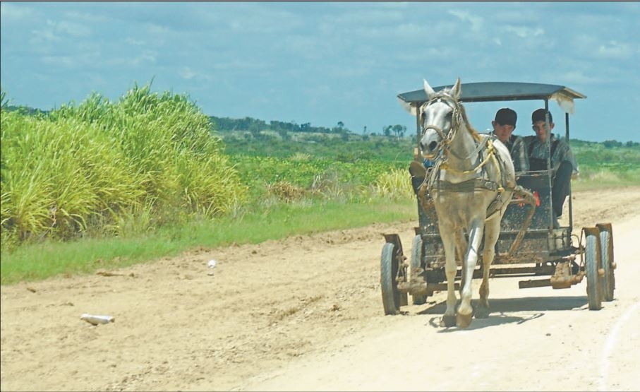 La historia de Campeche con la deforestación lleva un par de décadas