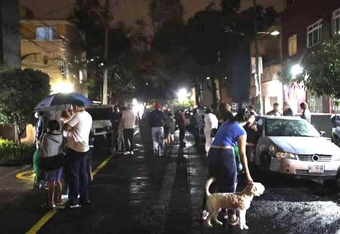 Así fue la evacuación de perritos durante el sismo de 7.1 que se registró en varios estados de la República