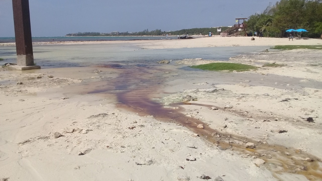 Esta playa cuenta con serios problemas de contaminación por desechos plásticos y grandes cantidades de sargazo