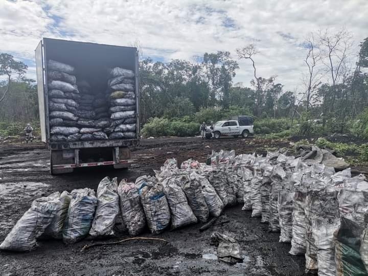 En un año, detienen a 211 personas en Campeche por delitos ambientales