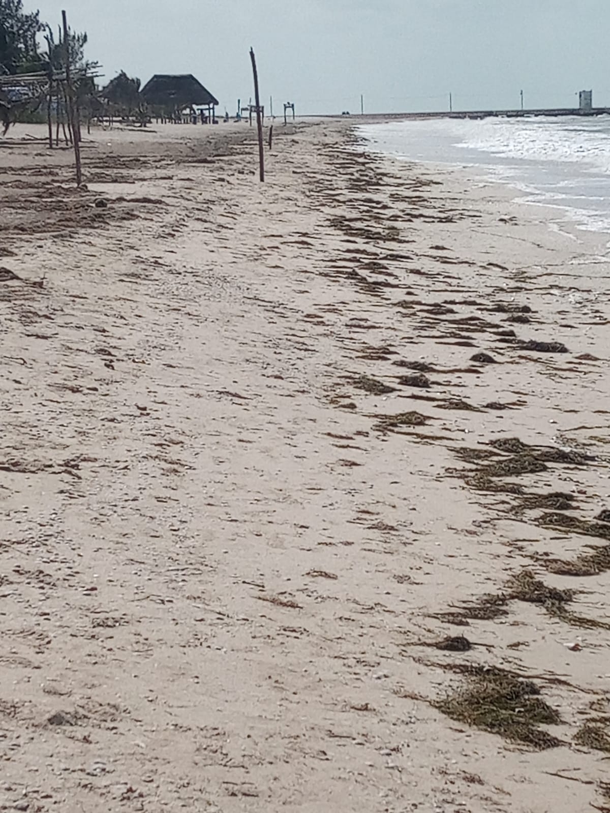 Las playas lucieron vacías