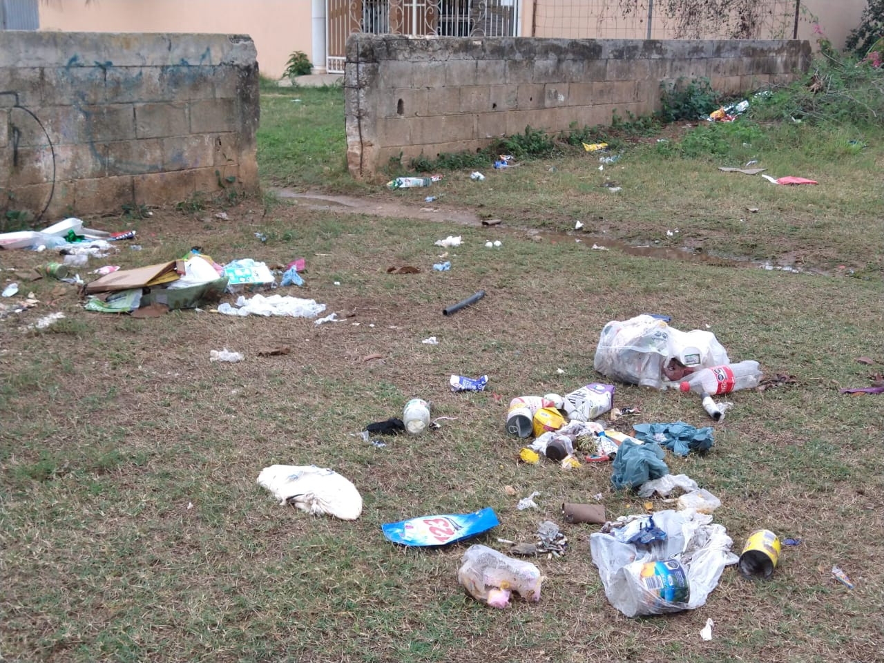 Zonas habitacionales también son usadas como basureros en los terrenos baldíos