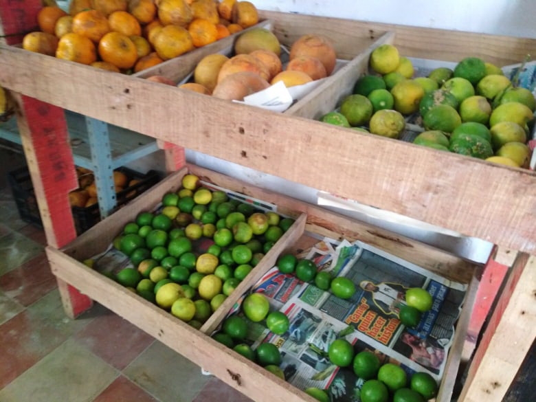 Producción de limón persa en Campeche, la más baja en la Península