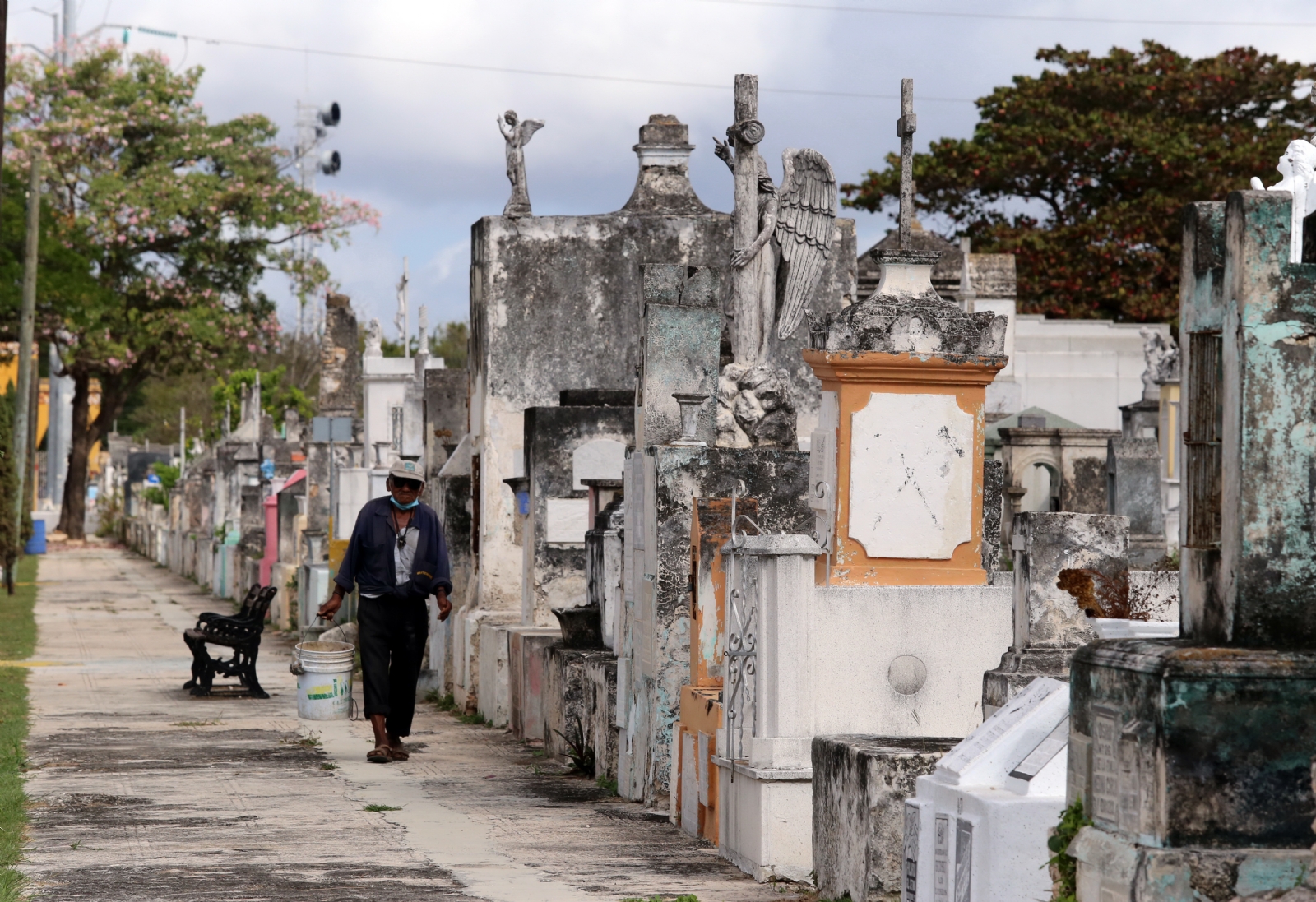 Ayuntamiento de Mérida 'deja morir' a cementerio declarado Patrimonio Cultural