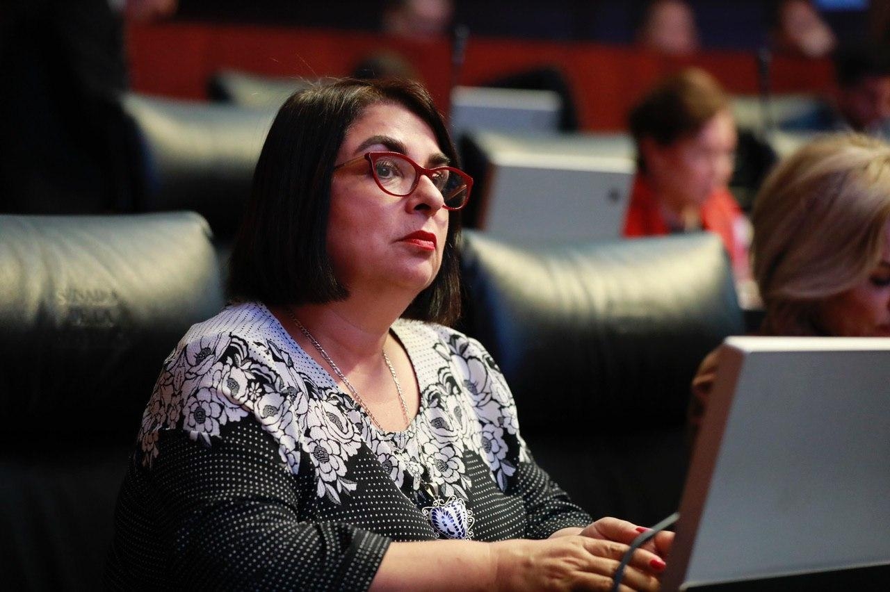 Senadora de Morena afirma que no habrá ruptura en su bancada ni Monreal será destituido