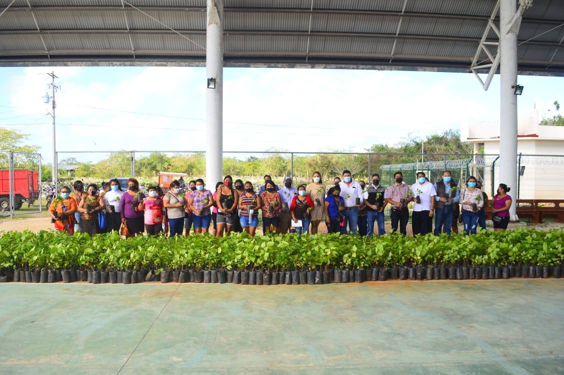 Fomentan el cultivo de achiote en Yucatán con más de 10 mil plantas