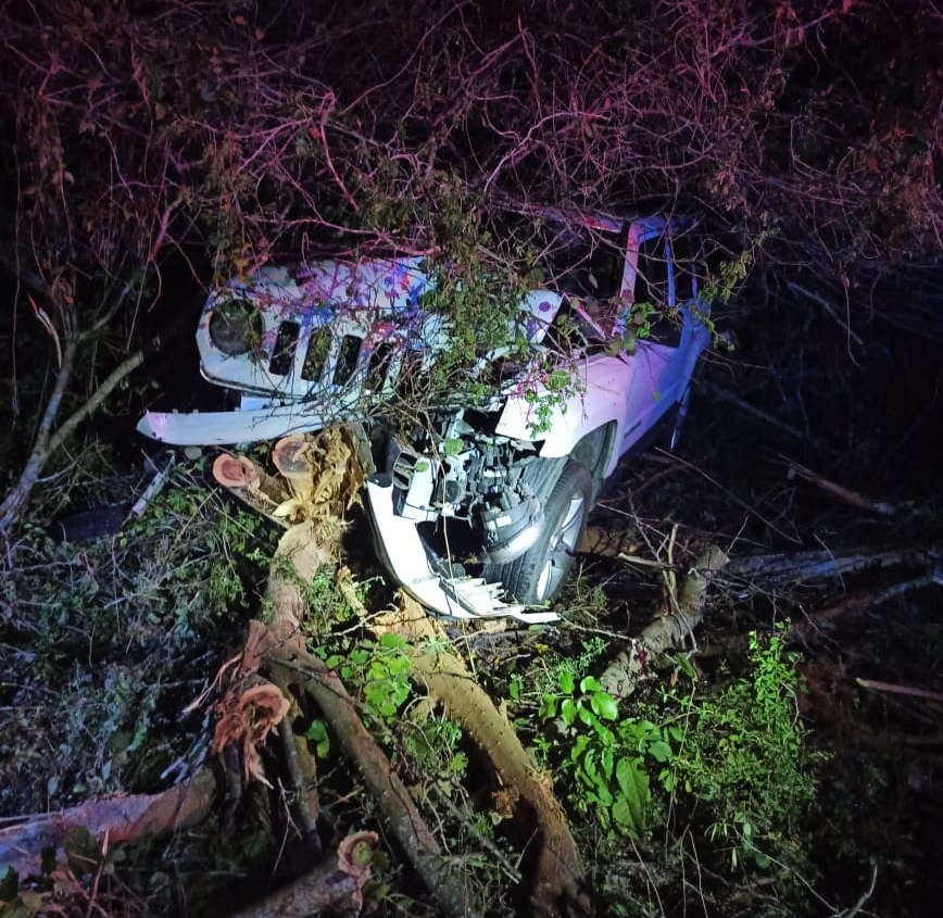 Conductor se queda dormido y termina estrellándose contra un árbol en la carretera Mérida-Tizimín