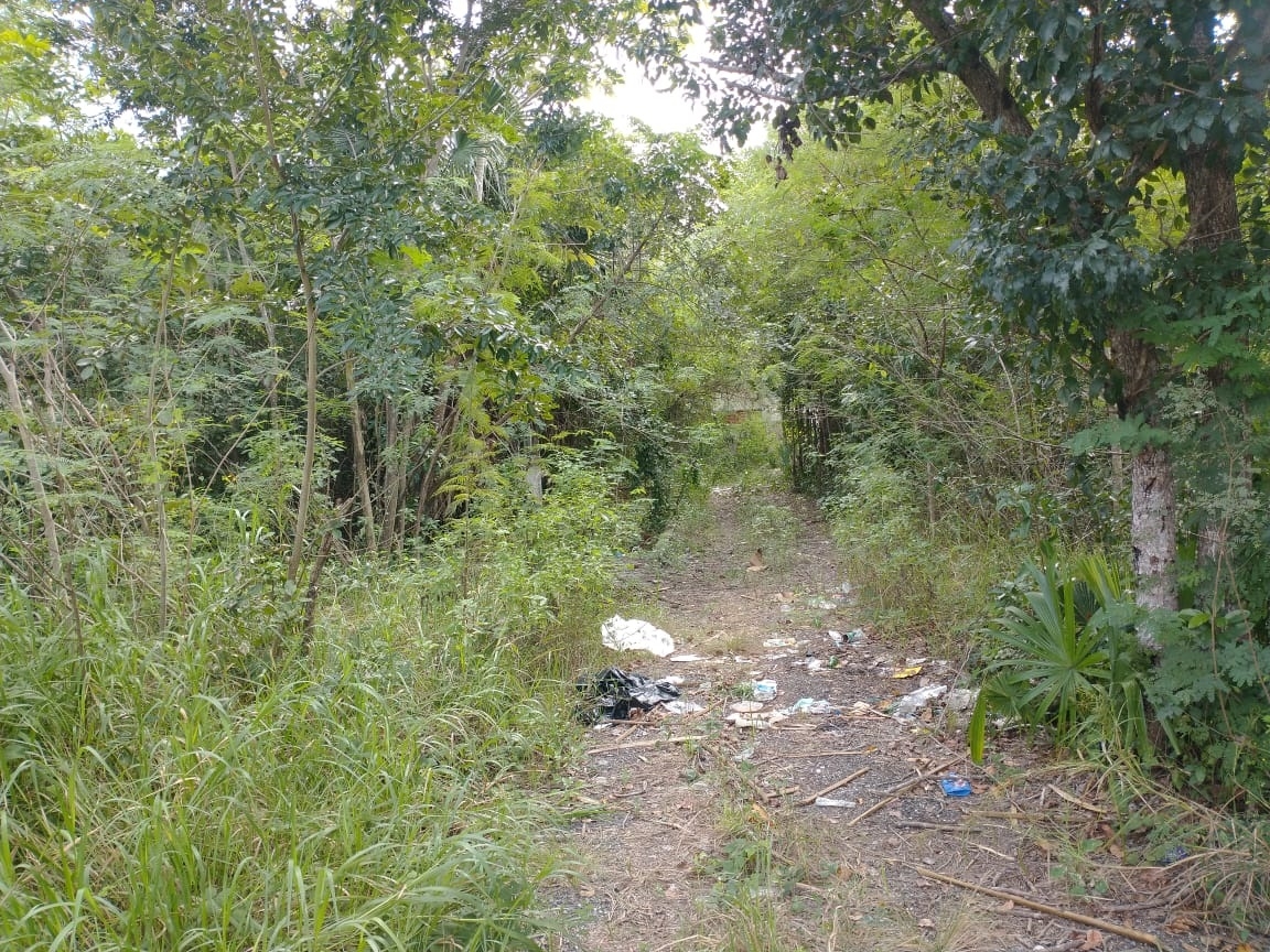 Encuentran siete cuerpos en Chikindzonot, Yucatán; podrían ser los 'levantados' en Quintana Roo