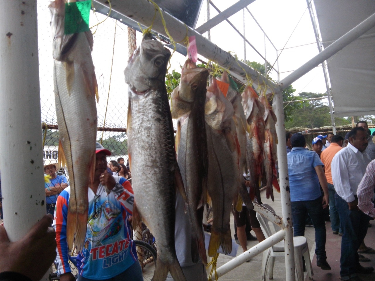 Este torneo de pesca es esperado con mucho entusiasmo por cientos de pescadores