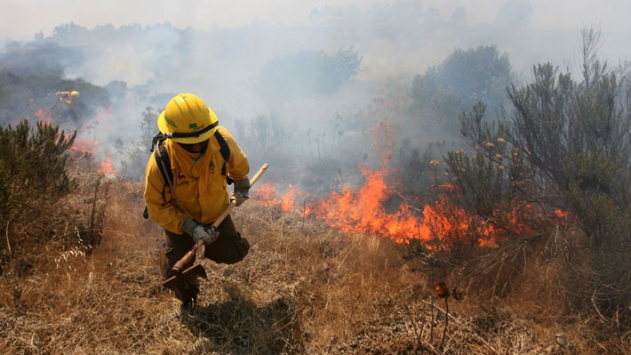 Autoridades de Campeche prevén focos rojos para la temporada de incendios forestales