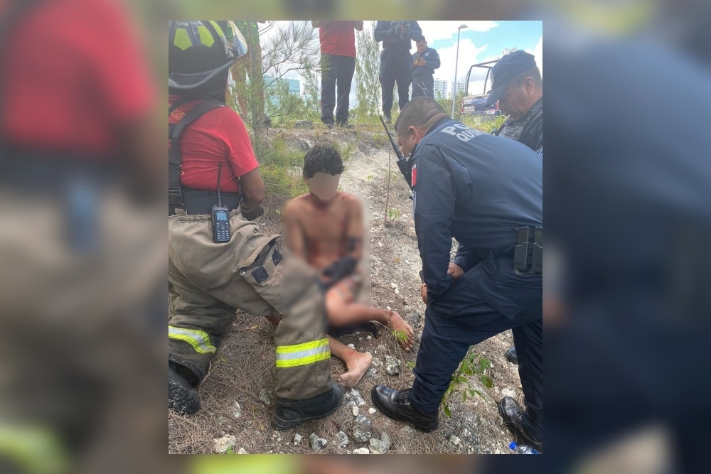 Cocodrilo ataca a un hombre en el manglar de Malecón Tajamar de Cancún