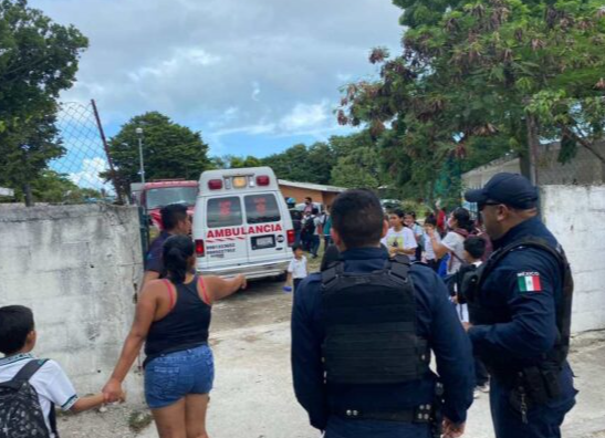 Enjambre de abejas ataca a 20 niños y adultos en escuela primaria de Cancún