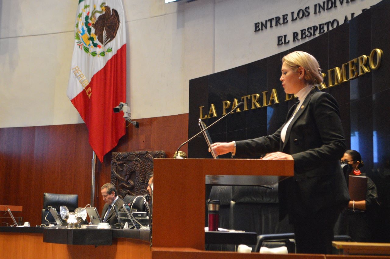 Verónica Camino Farjat resaltó la propuesta ante el Senado de la República