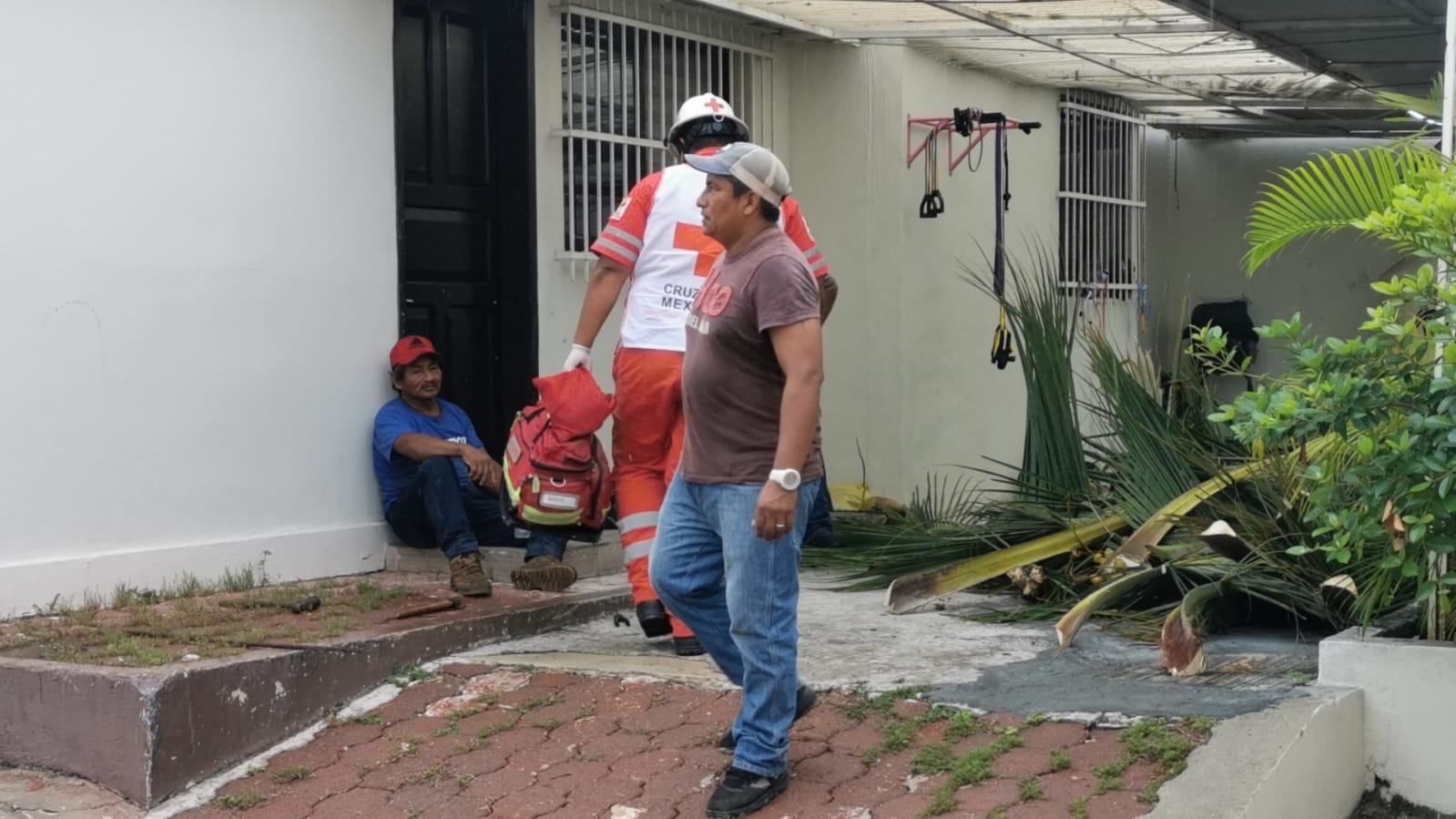 Hombre se electrocuta mientras poda una mata de coco en Ciudad del Carmen