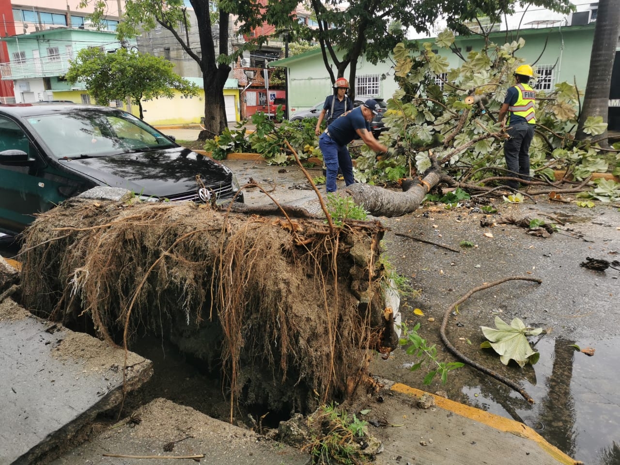 Tormenta Tropical Karl derriba árboles a su paso cerca de Ciudad del Carmen