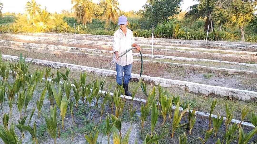 De igual, se espera una Feria del Fertilizante que está en desarrollo para los productores de la región Sursureste