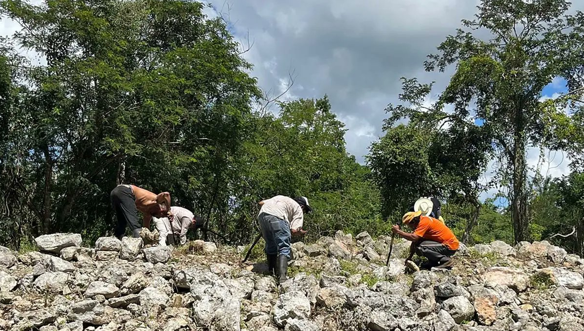 Hallan nuevas estructuras mayas en paraíso prehispánico en Yucatán