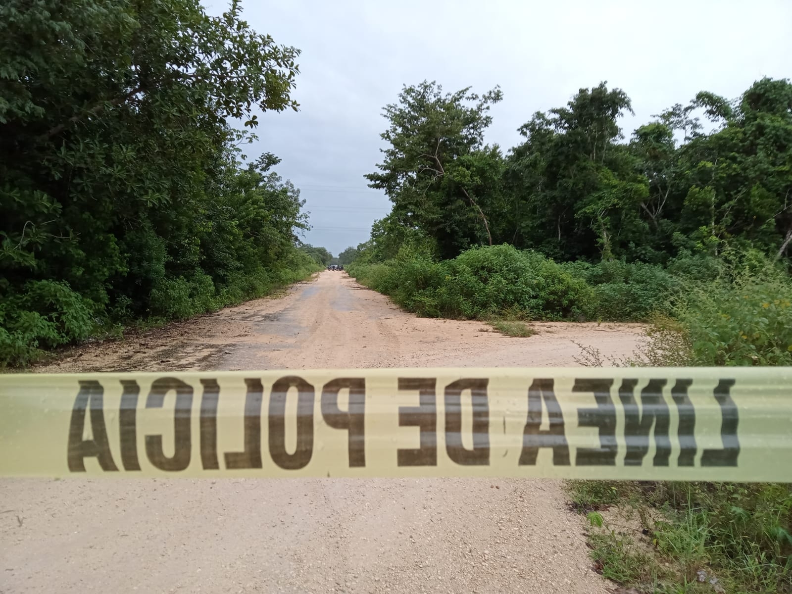 Hallan un cuerpo en la colonia irregular El Trébol en Cancún