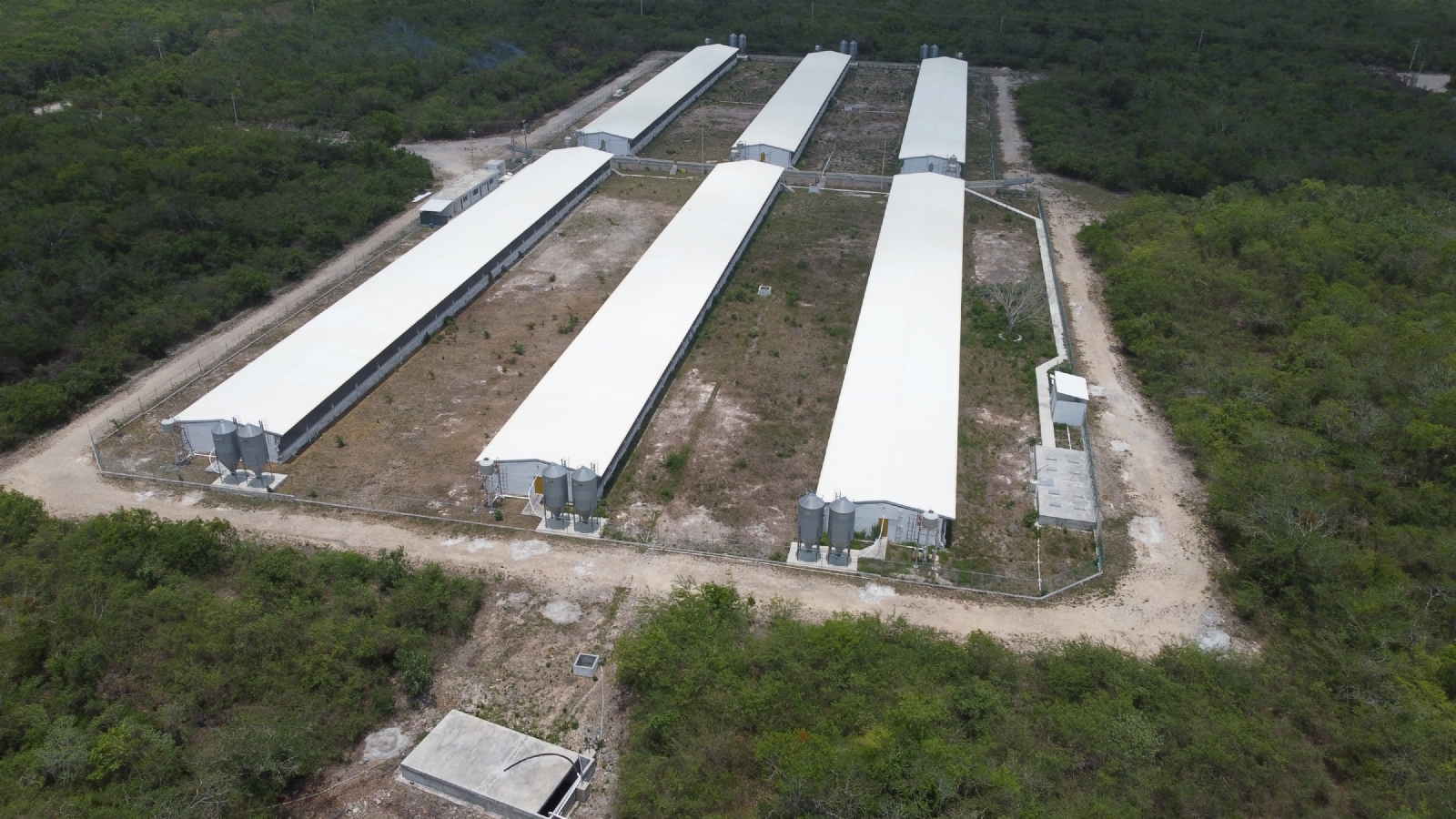 Kekén niega contaminación de granjas porcícolas en Yucatán; llama ‘mentirosos’ a pobladores y funcionarios