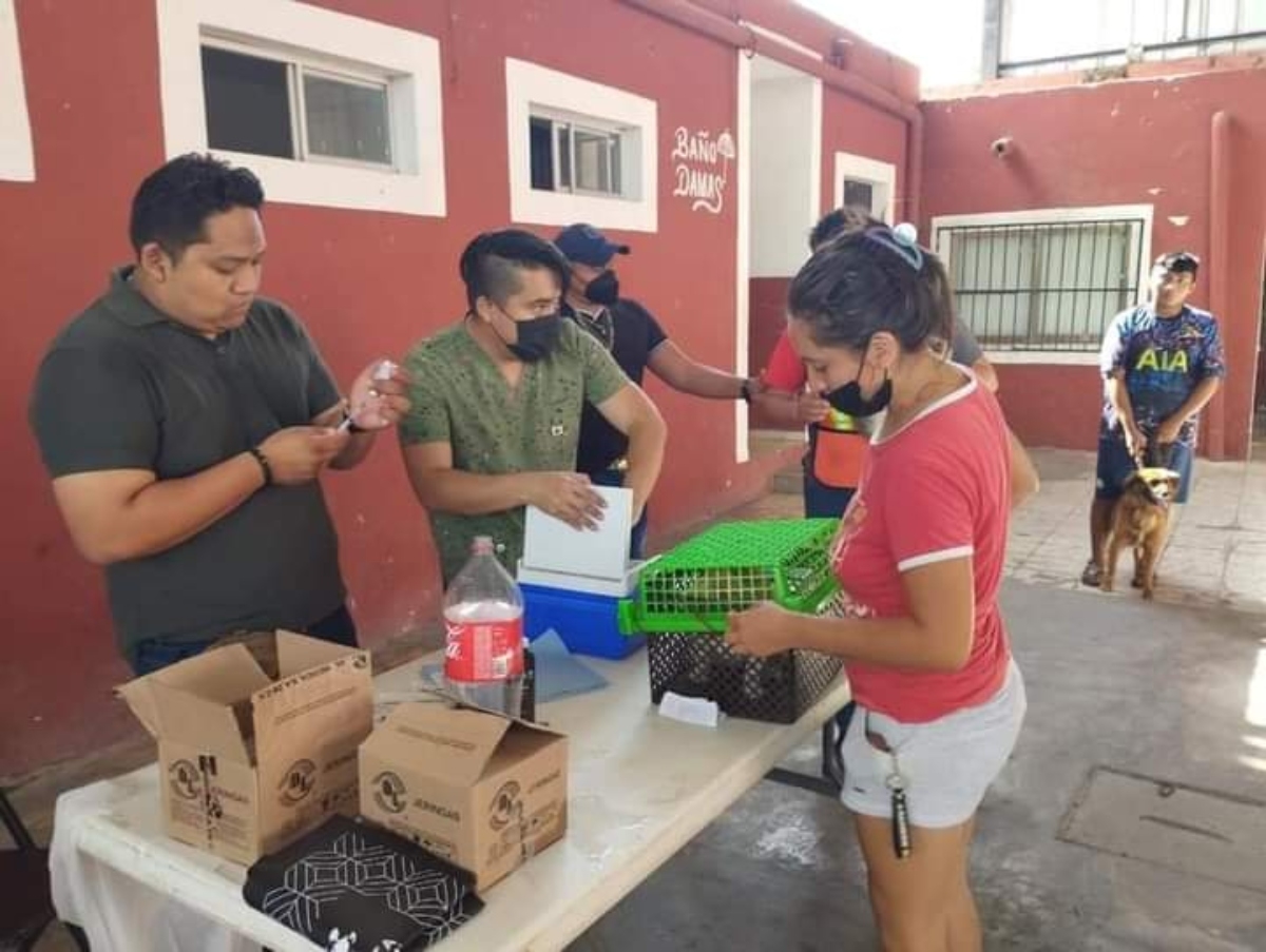 Campaña de esterilización de mascotas genera interés en habitantes de Baca