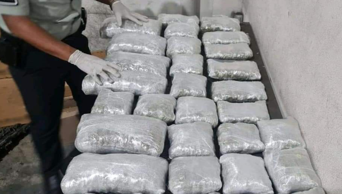 Hallan droga entre juguetes en el Aeropuerto Internacional de Cancún