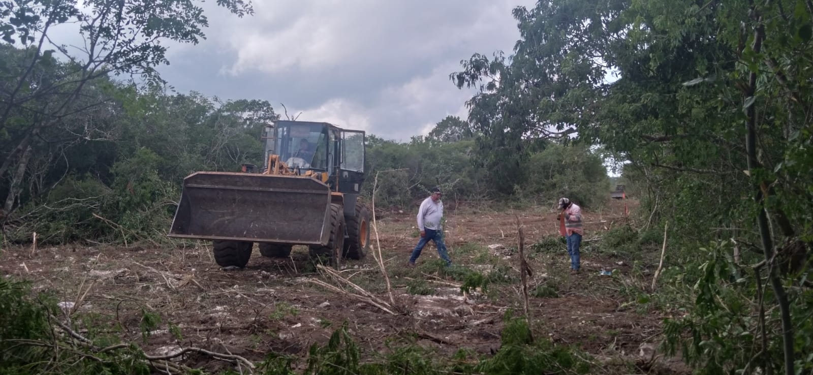 Aseguran que los terrenos fueron entregados por la exgobernadora Ivonne Ortega