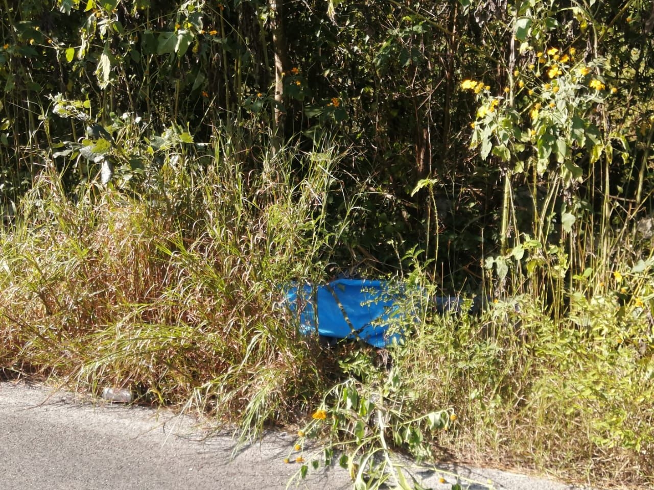 Muere motociclista tras ser embestido por un camión en la carretera Motul-Cacalchén