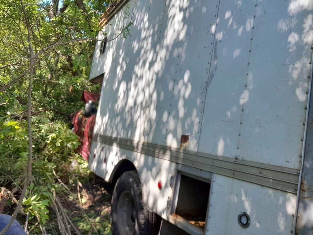 Conductor pierde el control de su camioneta y choca contra un árbol en Ciudad del Carmen