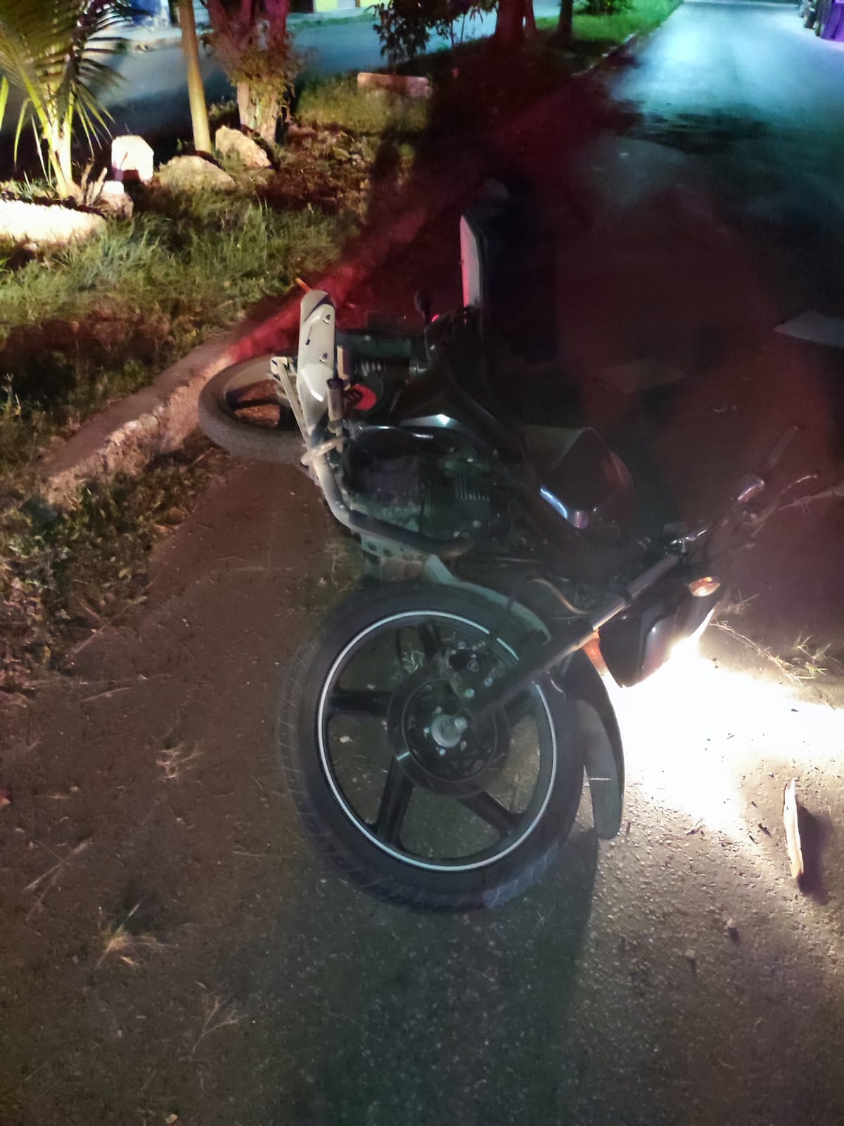 El motociclista se estrelló con un árbol del camellón central de la avenida Chetumal