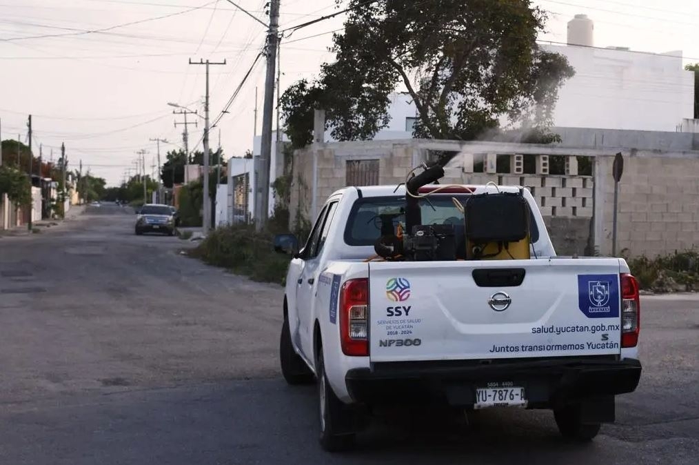 Aumentan casos de dengue en Yucatán; cada cuatro horas se registró un contagio