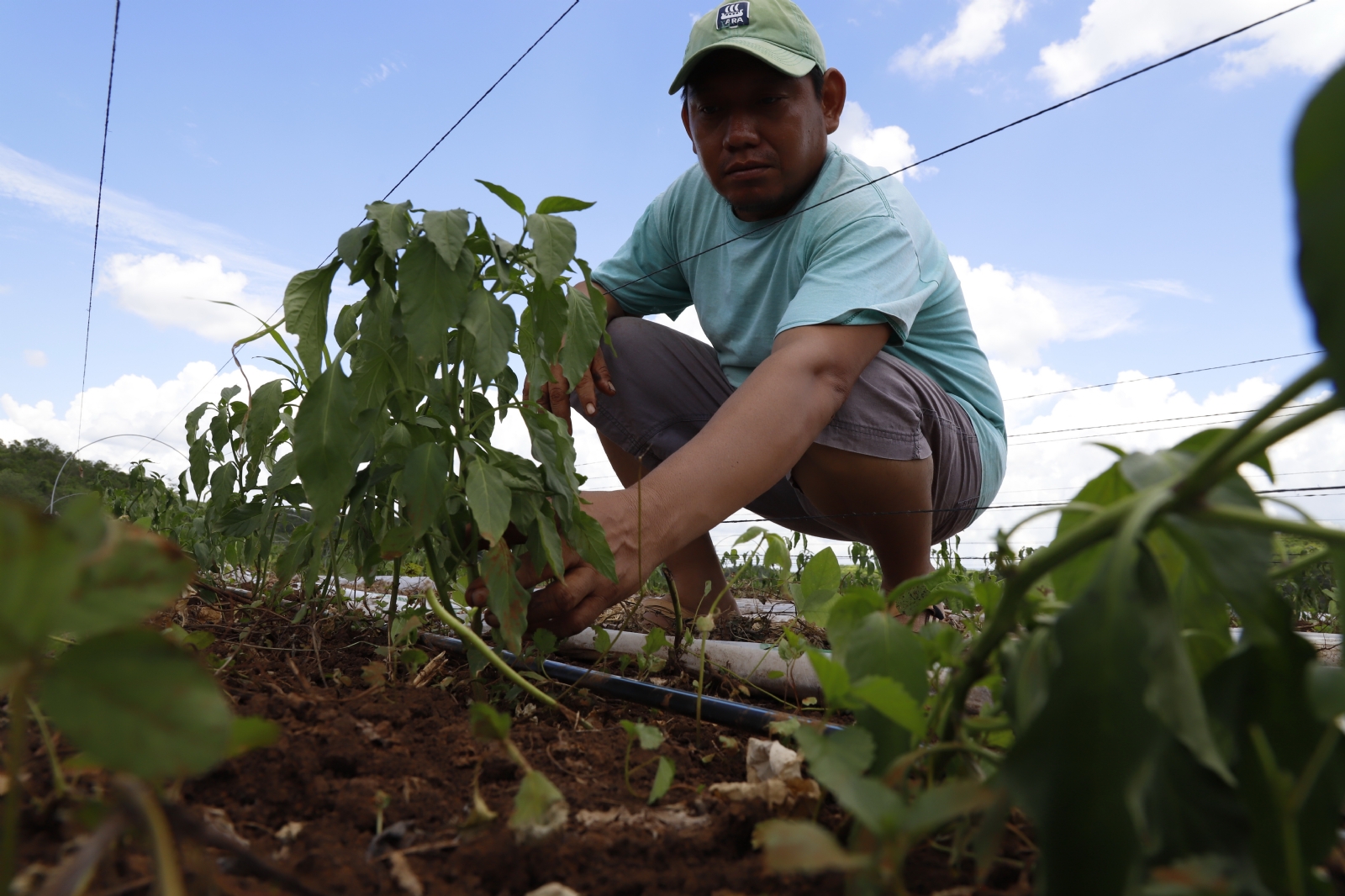 Con estos criterios se busca garantizar derechos laborales de ley a los trabajadores