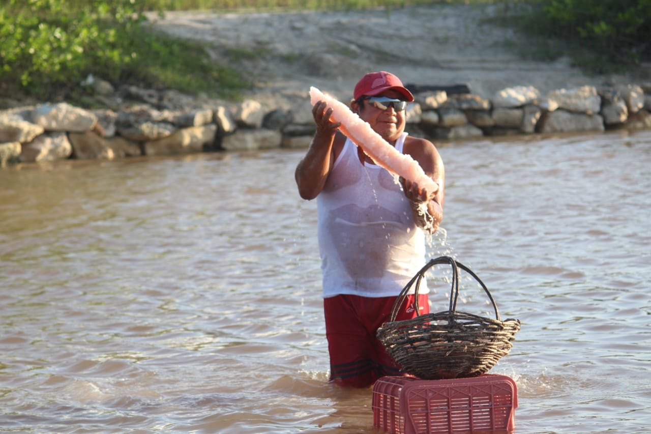 Raúl Orlando May May, pescador retirado, indicó que esta actividad económica fue una de las más importantes en la costa yucateca