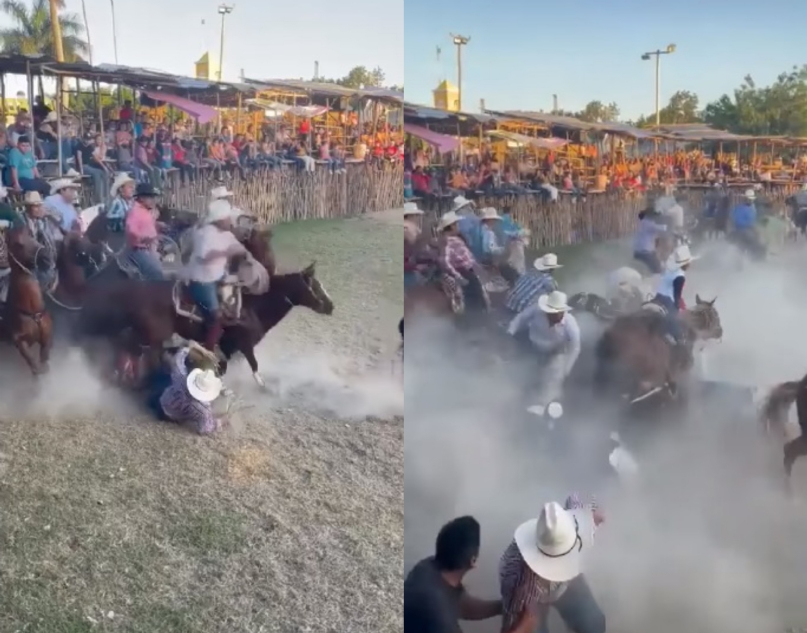 Caballos 'chocan´ durante torneo de lazo en Telchac Pueblo; Red Animal Yucatán condena acto: VIDEO