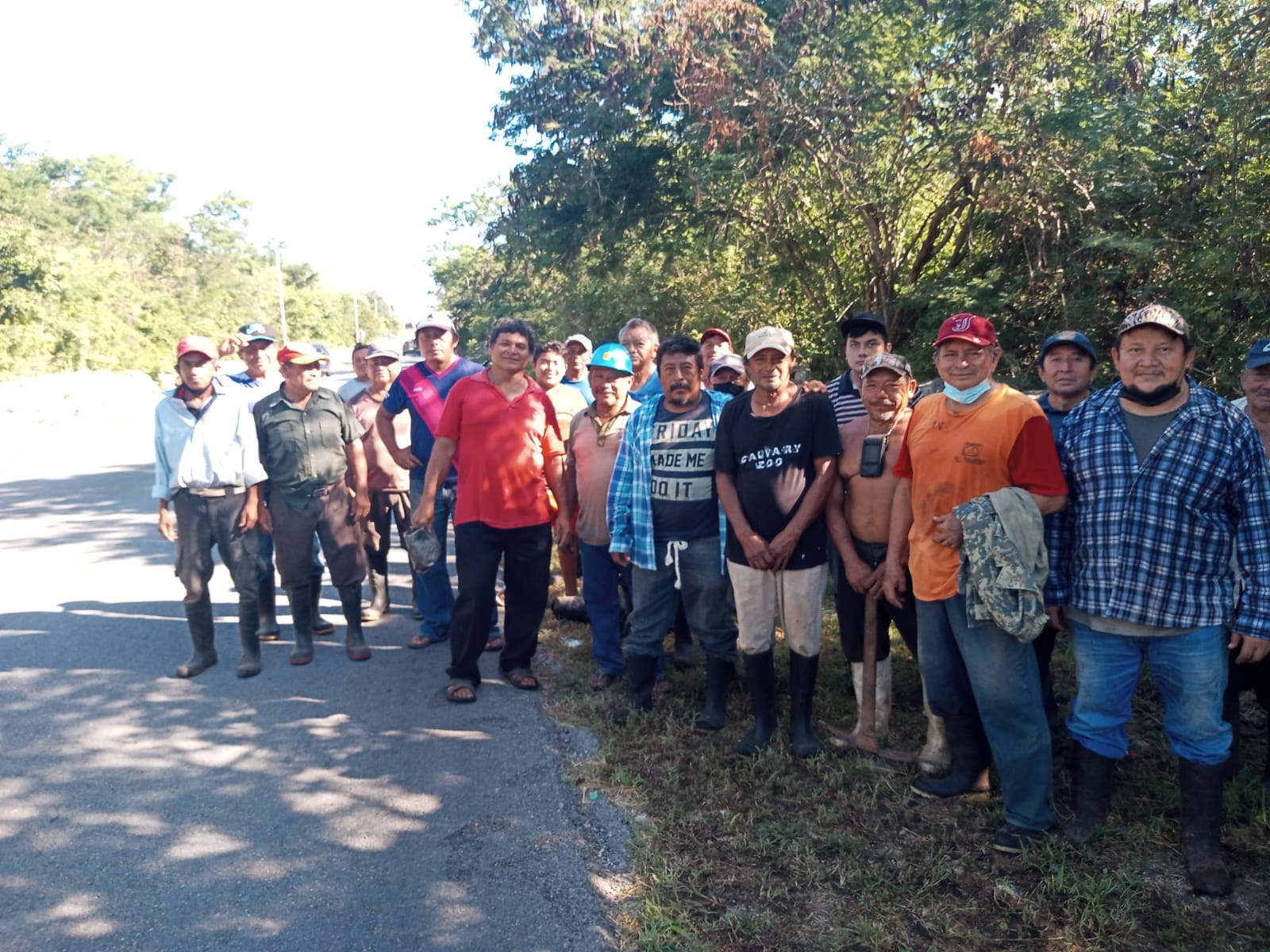 Plantan 400 árboles de cedro del programa Sembrando Vida en Baca, Yucatán