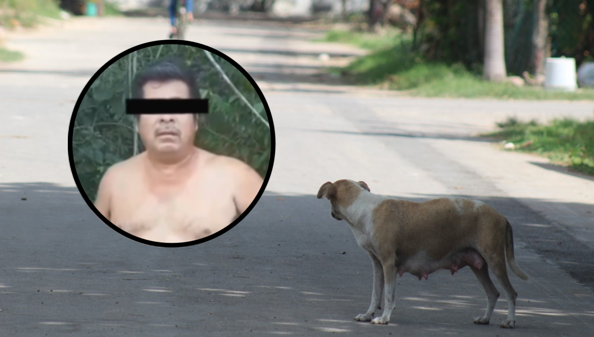 Detienen a presunto abusador sexual de perritas callejeras en Chetumal: VIDEO