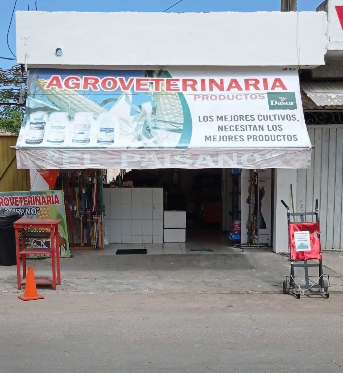 Veterinaria en Chetumal estafa a varias asociaciones civiles por 17 mil pesos