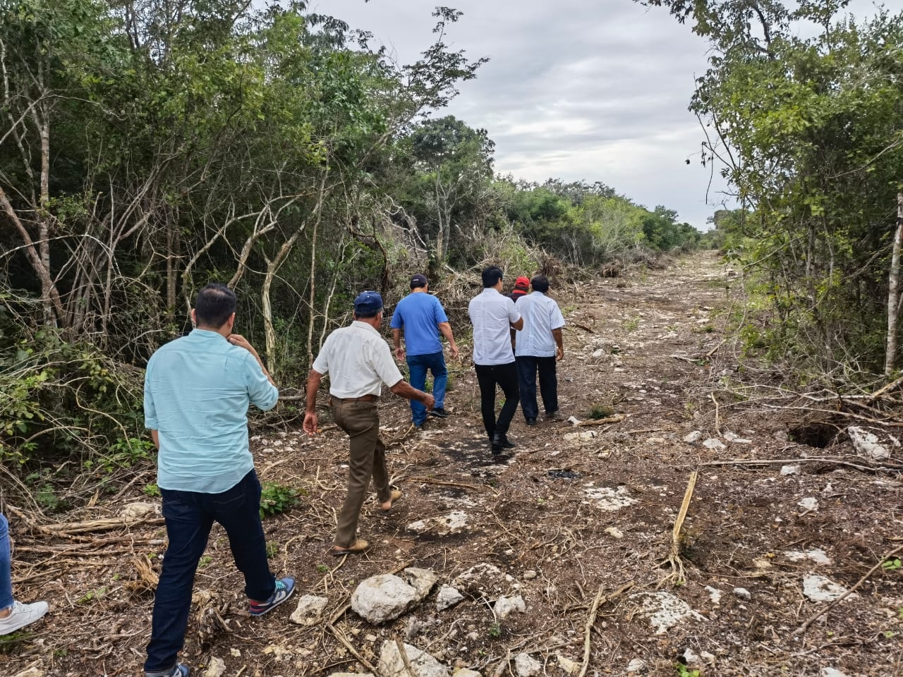 El empresario no contaba con permisos, ni estudio del impacto ambiental