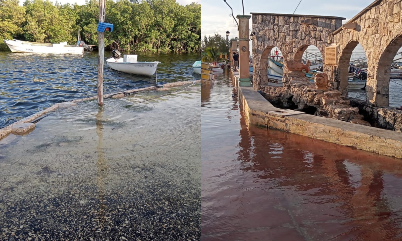 Hasta el momento no se ha declarado una emergencia ante estas inundaciones