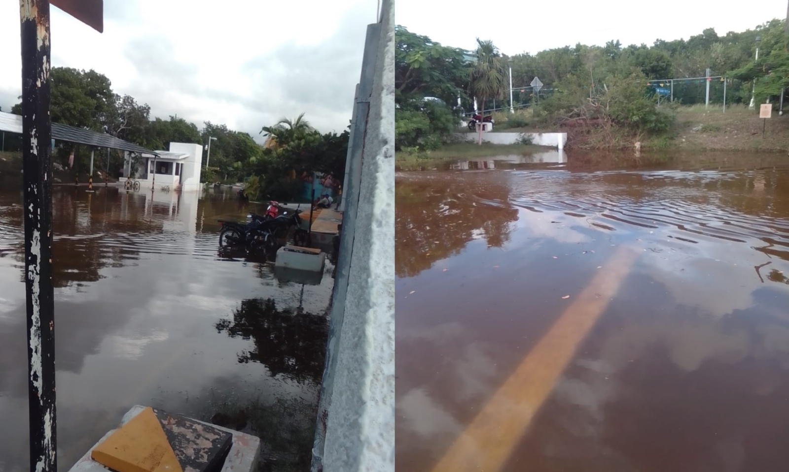 Lluvias provocan inundaciones en Celestún; Ría subió su nivel los últimos días