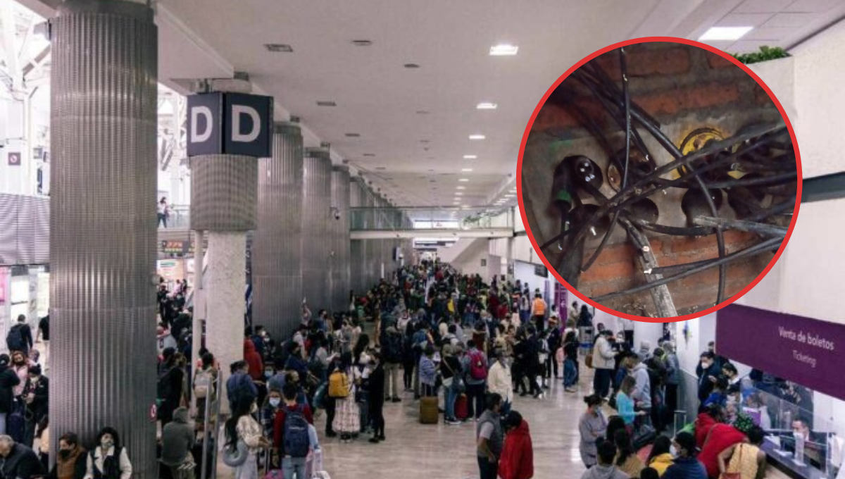 Intento de robo, causa de la falla en el sistema de migración en la terminal 2 del AICM