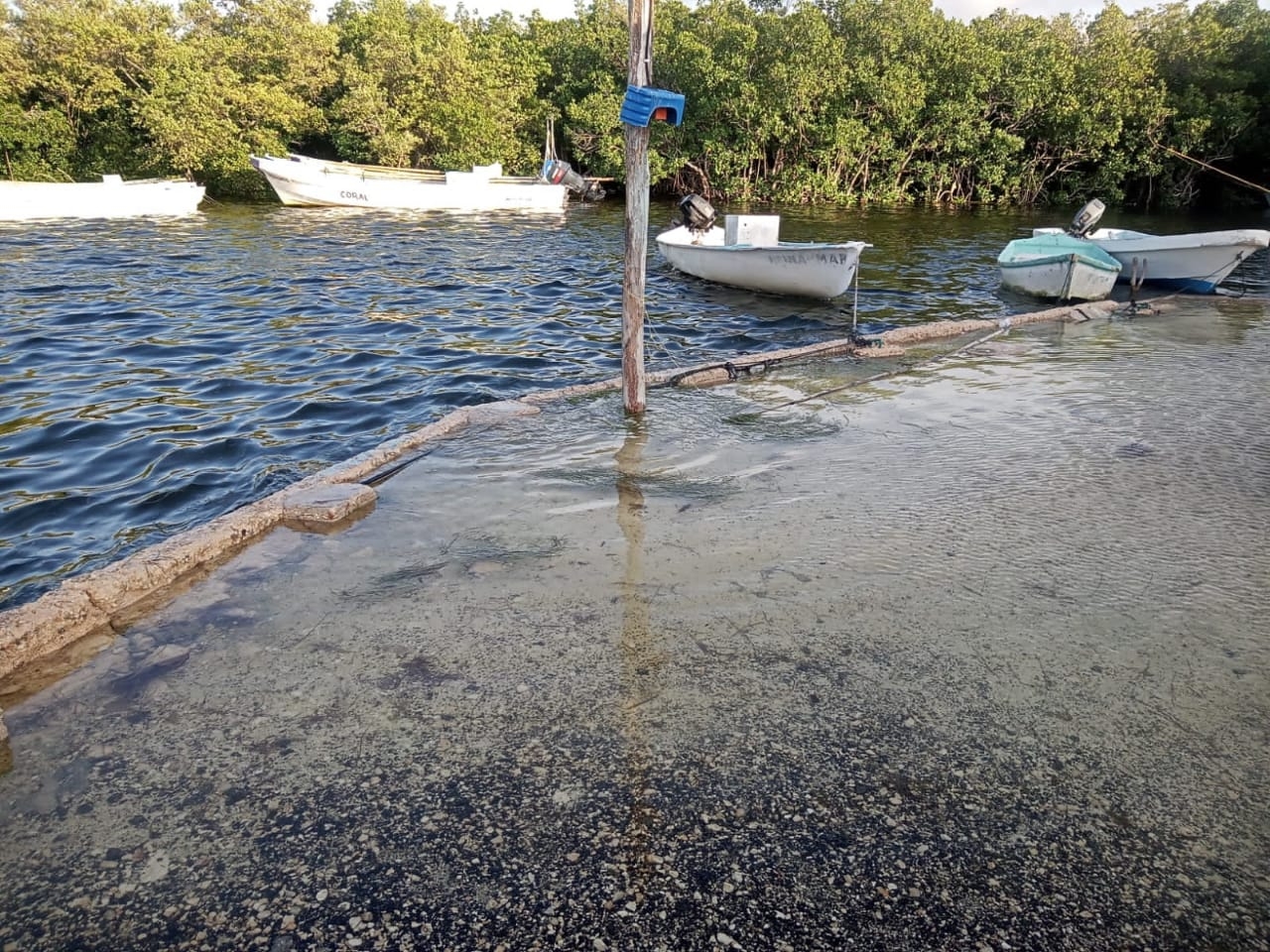 Celestún permanece 'bajo el agua' tras el desborde de la ría por las lluvias