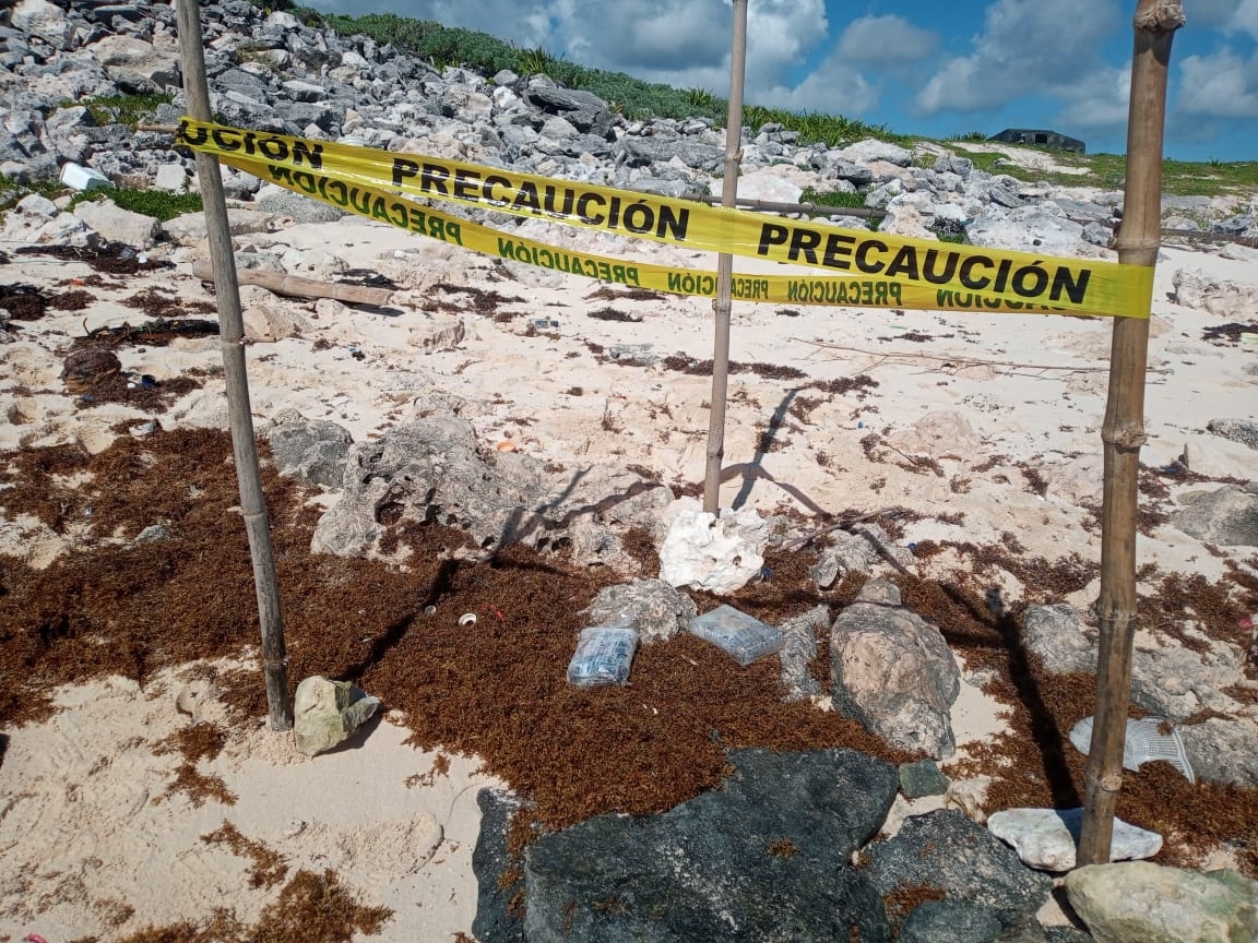 Aseguran dos paquetes con droga en su interior; arribaron a una playa de Cozumel