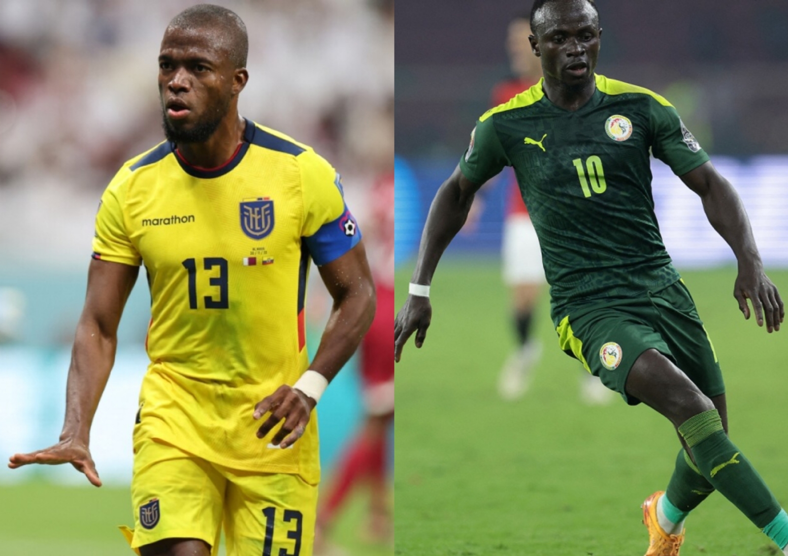 Ecuador vs Senegal: ¿Cuándo y dónde ver en vivo el partido de la Fase de Grupos?