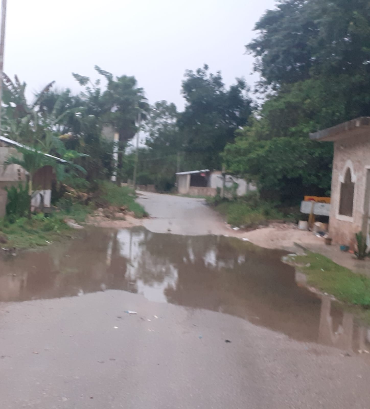 Tormenta Tropical Lisa causa estragos en José María Morelos; continúan las lluvias